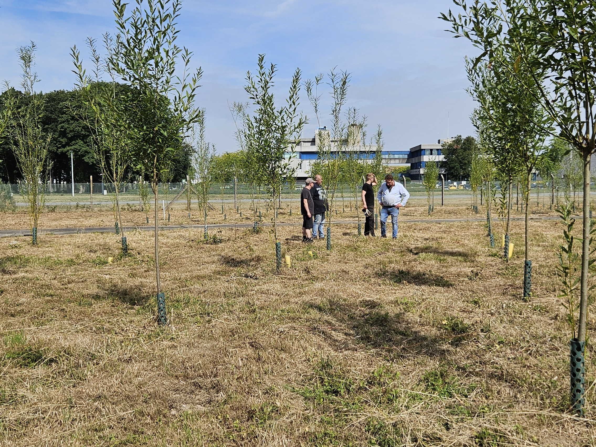 Field and technical experts